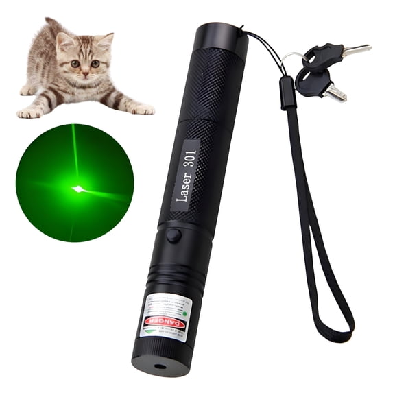 BESTSKY Laser Pointer Cat Toy with Adjustable Focal Length, Secure lazer pointer for cat with Child Safety Lock, Interactive Play Accessory, Cat Gifts for Households with Cats, Green