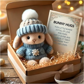 BESTSKY Mini Bunny Hug Cute Easter Gift Plush Bunny in A Box Hugs Positive Bunny Stuffed Animal Rabbit Soft Floppy Easter Ideas Bunnies Basket Stuffers Doll Emotional Support Inspirational Gifts