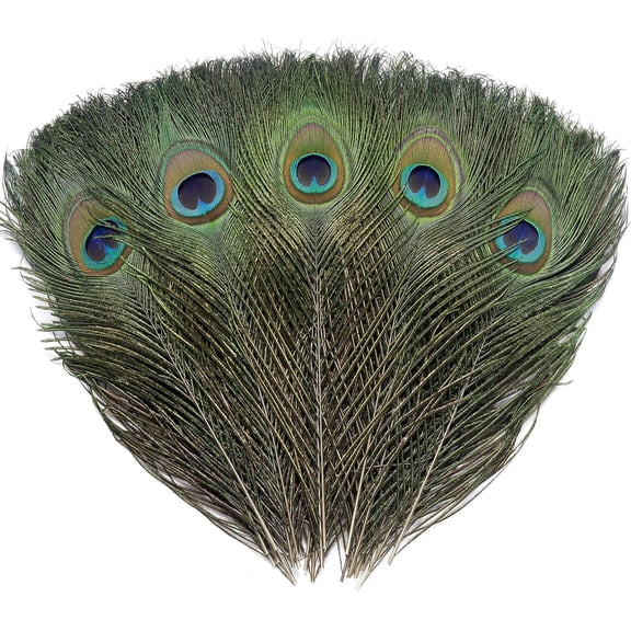BESTSKY Natural Craft Peacock Feathers,60Pcs,10-12" | Real Green Peacock Feather with Colorful Big Eyes for Diy Crafts,Wedding Holiday Decor,And Floral Arrangements