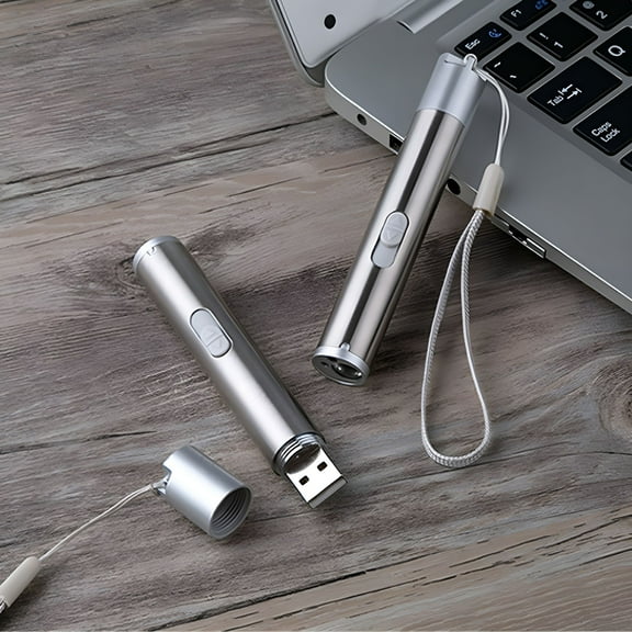 BESTSKY Portable Red Dot Laser Toy with USB Charging, Flashlight and UV Detection for Pets