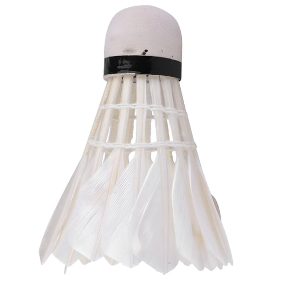 BESTSKY Professional Grade Shuttlecocks, Duck Feather Ensu Consistent Stability In Every Stroke