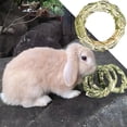 thumbnail image 1 of BESTSKY Rabbit Chew Toys Nature Grass Ring Toys for Teeth Care Gnawing Treats Toy for Hamsters Chinchillas Guinea Pigs Gerbils Rat Pet Cage Entertainment Accessories, 1 of 4