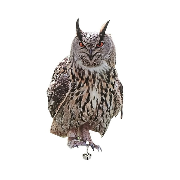 BESTSKY Realistic Owl Decoy w/Sound Keep Birds Away Outdoor Garden Bird Repellent