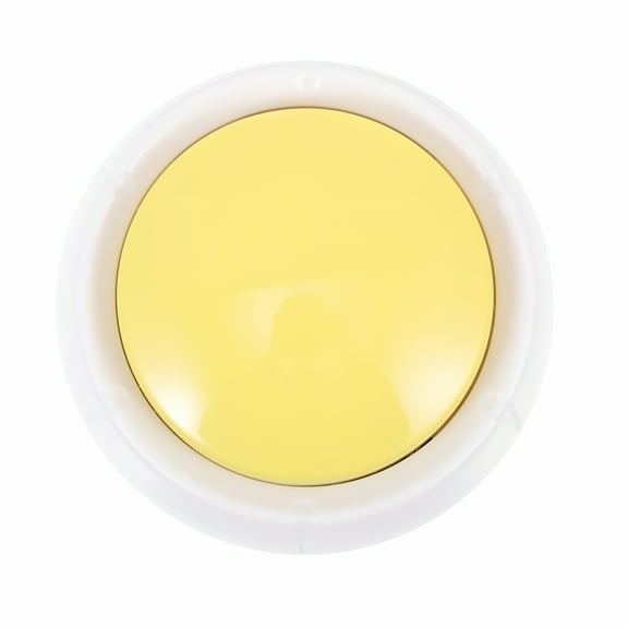 BESTSKY Recordable Button Talking Button Sound Button Pet Training Pet Communication Button