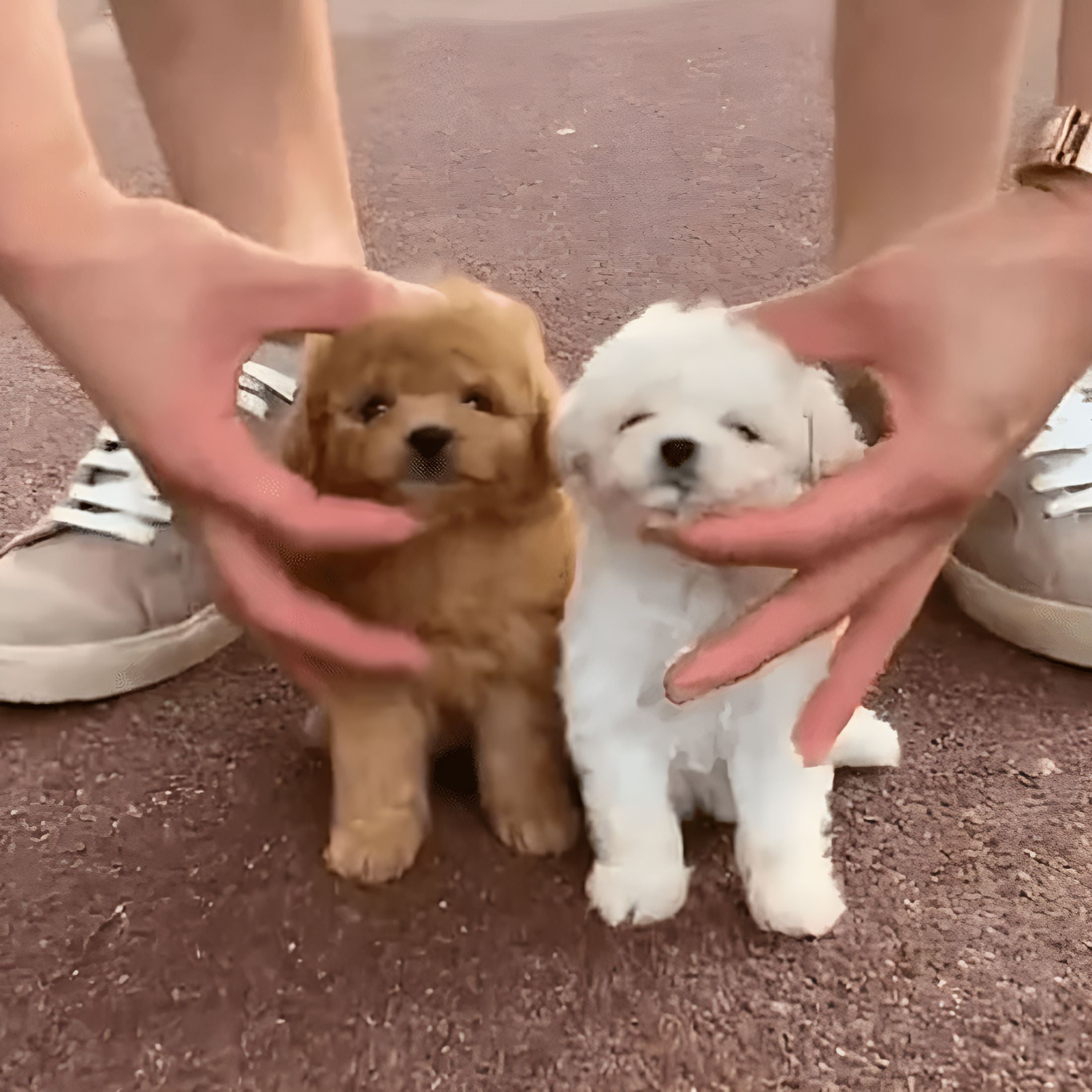 BESTSKY Robot Dog, Toy Dog That Walks and Barks, Puppy Robot Puppy That Acts Like A Real Puppy