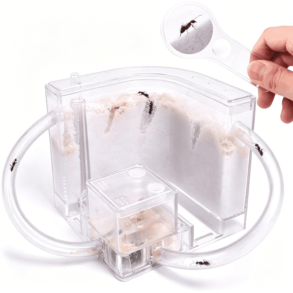 BESTSKY Sand Ant Farm with Connecting Tubes, Habitat Educational & Learning Science Kit Toy for Kids & Adults - Allows Study of Ecosystem, Behavior of Ants, Explore the World at School