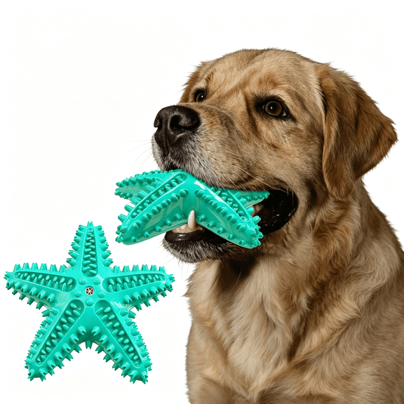 BESTSKY Squeaky Chew Toy-Starfish Water Floating Toy for Dogs,Natural Tooth Brush Teeth Cleaning for Small Medium Dogs-Pool Fun Dog Water Toys Blue