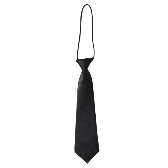BESTSKY Ties for Men,Elastic Pink Tie,No Tying Corbatas Para Hombres Elegantes,Black