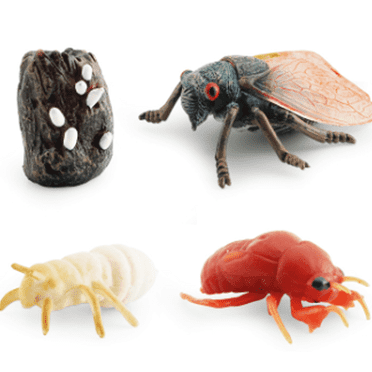 BESTSKY Toys for Ages 5-7,High Simulation Designfarm Animals,Improve Cognitive Ability Plastic Insect Toys,Style 1