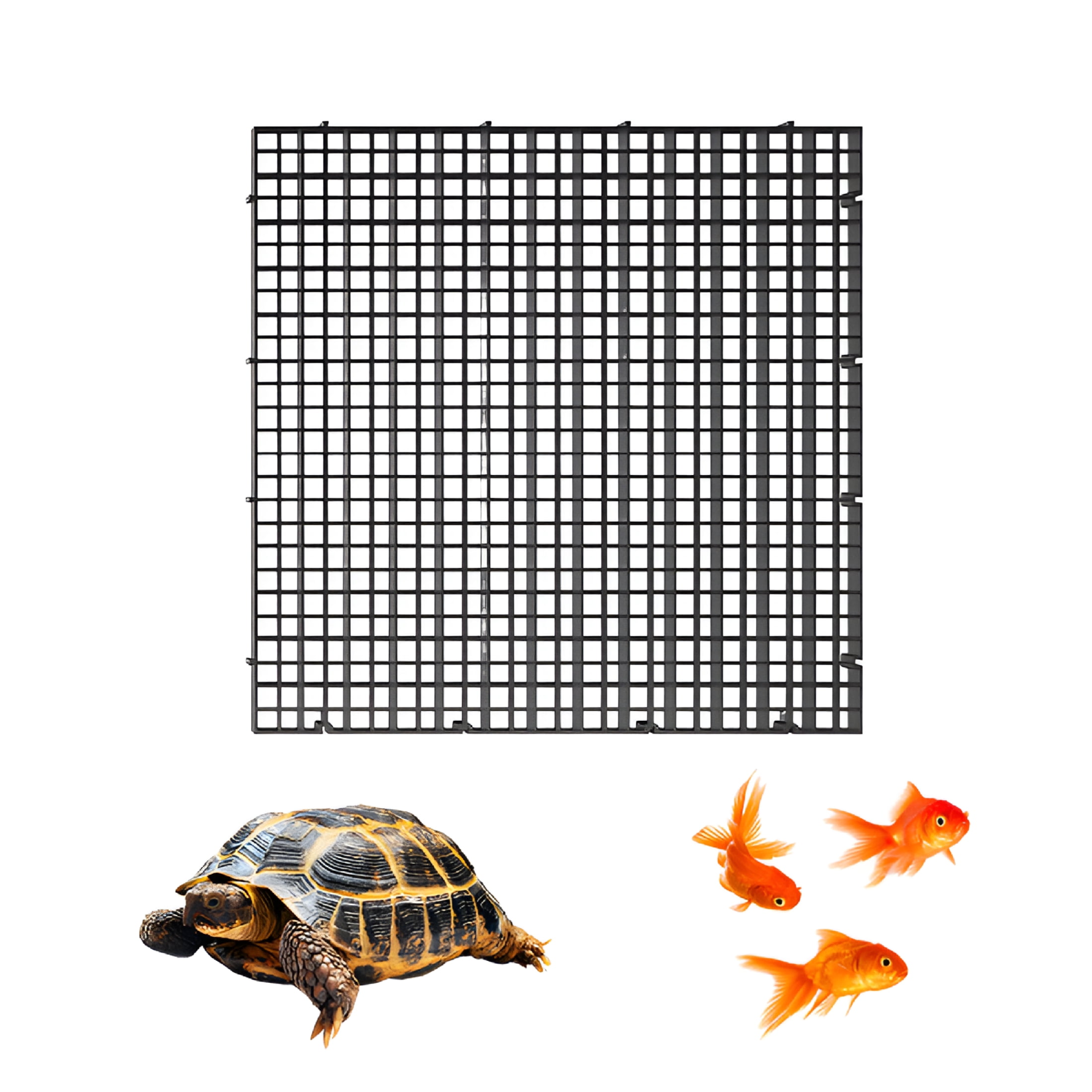 Photo inspiration: Gallery Detail: Bestsky Turtle Tank Accessories Plastic Beta Fish Aquariums Aquarium