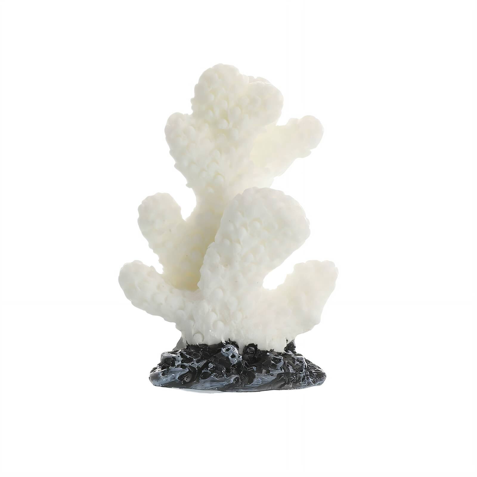Photo inspiration: Picture Idea: Bestsky Water Tank Coral Ocean Themed Fish Tank Underwater Ornaments
