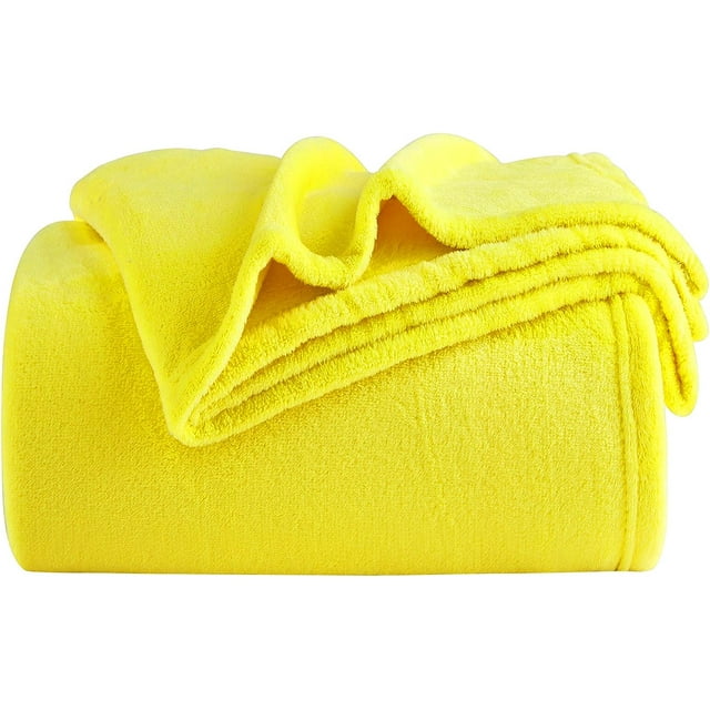BESTSPR Fleece Blanket, Lightweight Fuzzy Soft Throw Blankets for Couch