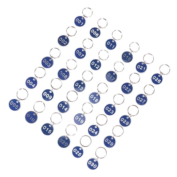 BESTYASH Luggage ID Tags Set with Numbered Aluminum Labels for Key Management, Color, Travel and Office Use