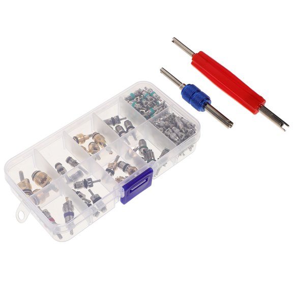 BESTYASH 102-Piece Air Conditioner Valve Core Kit with Assorted Colors and Portable Case for Car AC Repair and Maintenance