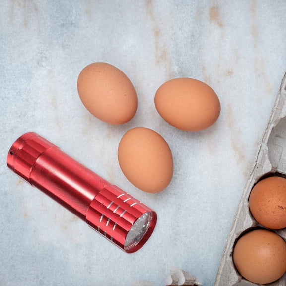 BESTYASH 1Pc LED Egg Incubator Lamp Blue Durable Egg Tester for Freshness and Fertility Check