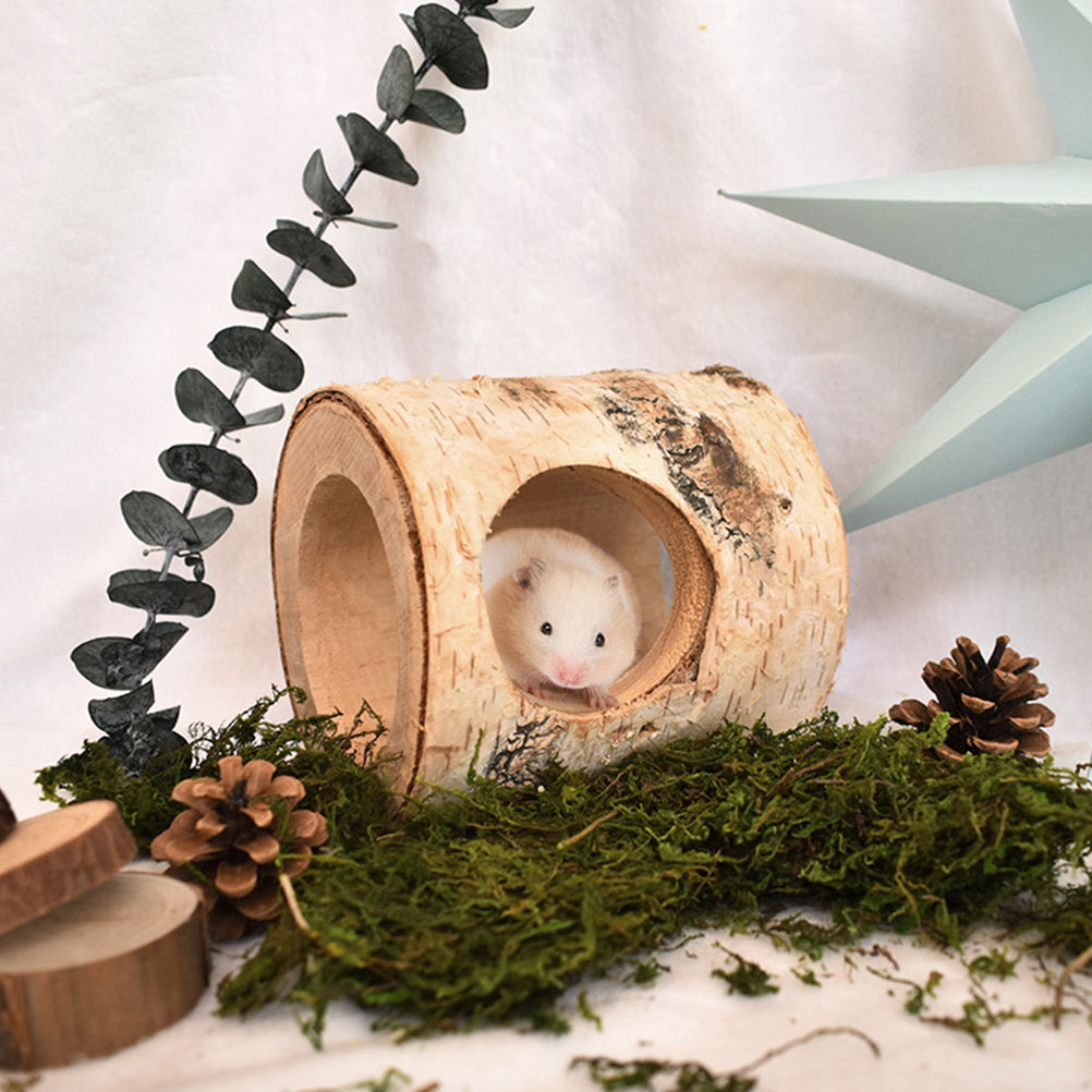 BESTYASH 1Pc Solid Wood Hamster Tunnel Plaything with Side Hole for ...