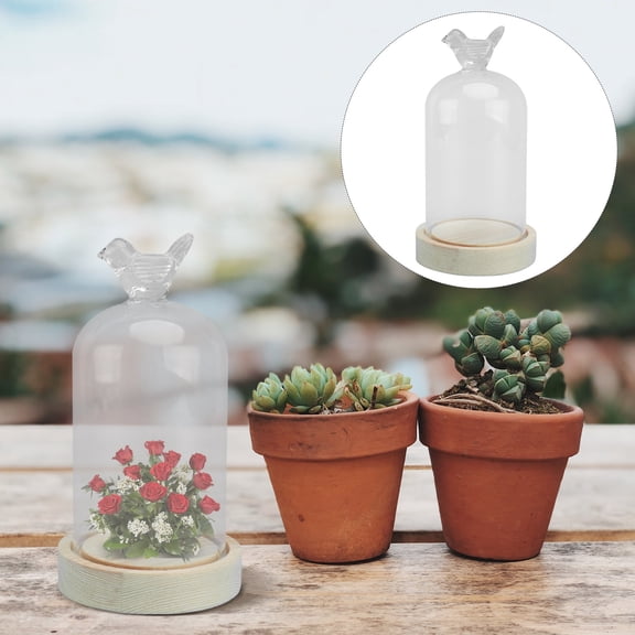 BESTYASH 1Pcs Glass Dome Cloche For Display Of Preserved Flower Decorative Item For Family