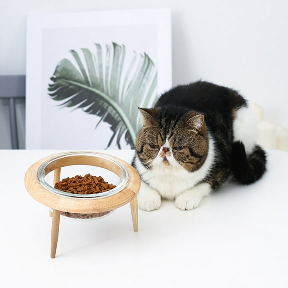BESTYASH Glass Pet Feeding Bowl Set with Tripod Stand for Stability - and Design