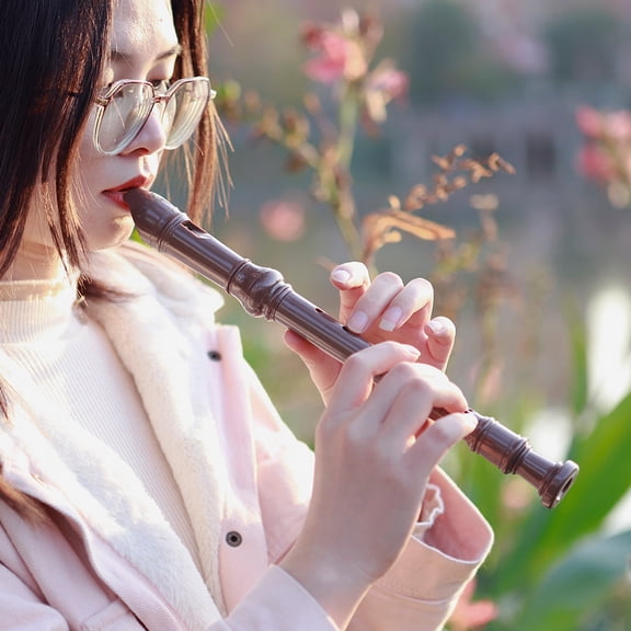 BESTYASH 1Set Portable Clarinet Coffee Color with Cleaning Stick Easy and Comfortable for Practice and Performance