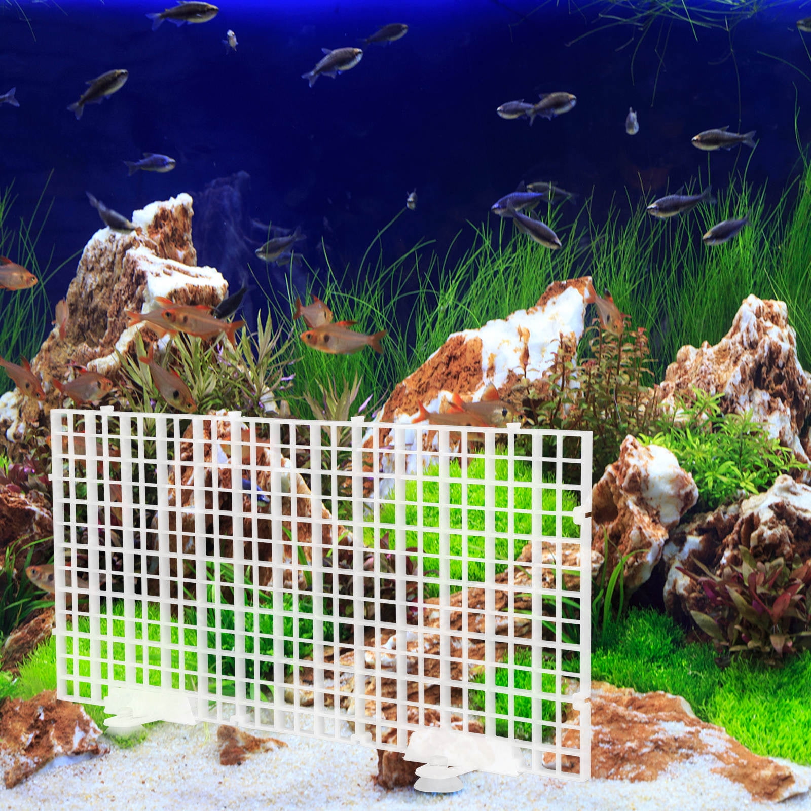 BESTYASH 1Set White Plastic Aquarium Isolation Board with Net Design ...