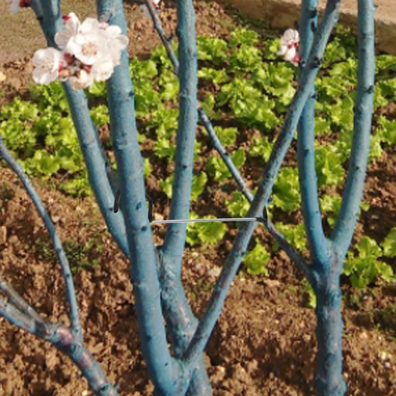 BESTYASH 20Pcs Tree Puller Tool for Branch Bending Assorted Color Outdoor Gardening Plant Support