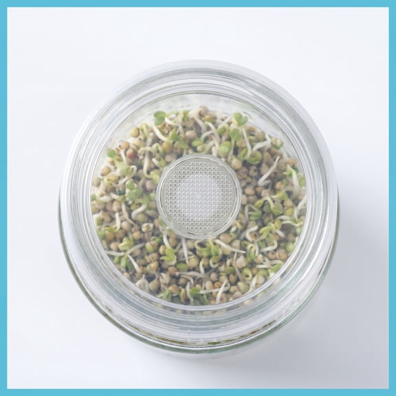 BESTYASH 28-Piece Plastic Jar Sprouting Lids Set with Fine Mesh Screens for Seed Sprouting and Fermentation Use