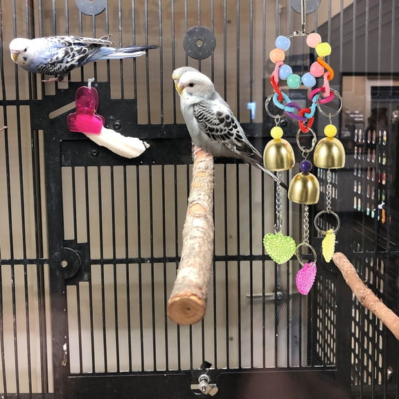 BESTYASH 2Pcs Bird Toy Pack Metal Bell Shape Chewing Toy Indoor Play