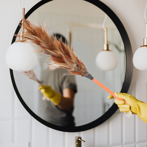 BESTYASH 2Pcs Household Chicken Plume Duster Durable Home Dust Sweeper with Hook Handle