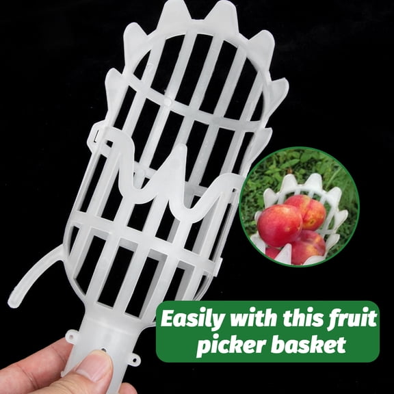 BESTYASH 2Pcs Labor Saving White Fruit Picker for Picking Peaches Bayberry and Pears Without Ladder