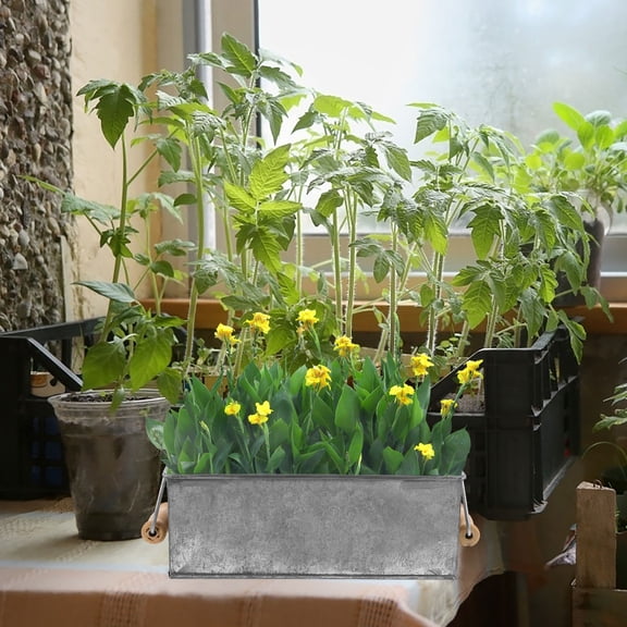 BESTYASH 2Pcs Retro Style Iron Flower Baskets and Containers for Home Garden Supplies