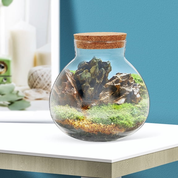 BESTYASH 2Pcs Smooth Transparent Plant Terrarium Bottles for Micro Landscape and DIY Decorative Use