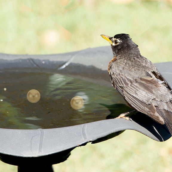 BESTYASH 2Pcs Golden Copper Birdbath Spheres for Outdoor Bird Bath