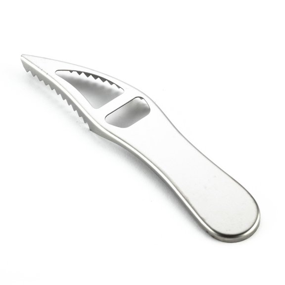 BESTYASH 2Pcs Stainless Steel Fish Shaver with Double Row Teeth for Efficient Fish Skin Cleaning and Rust Resistant