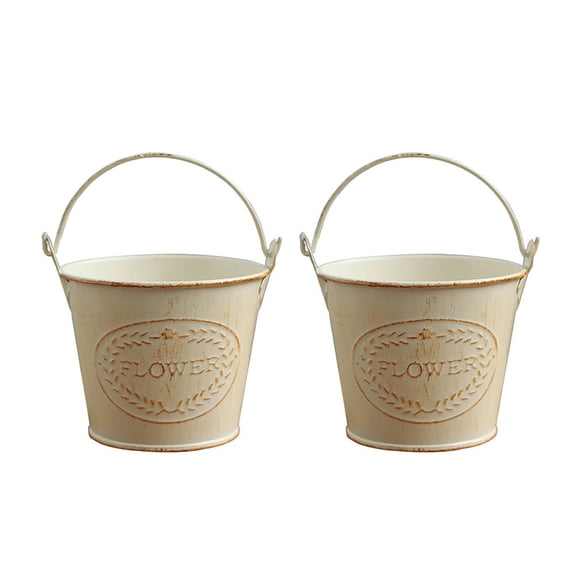 BESTYASH 2Pcs Sturdy Light Brown Iron Flowerpot Metal Vase for Window Sill Or Desk Flowers