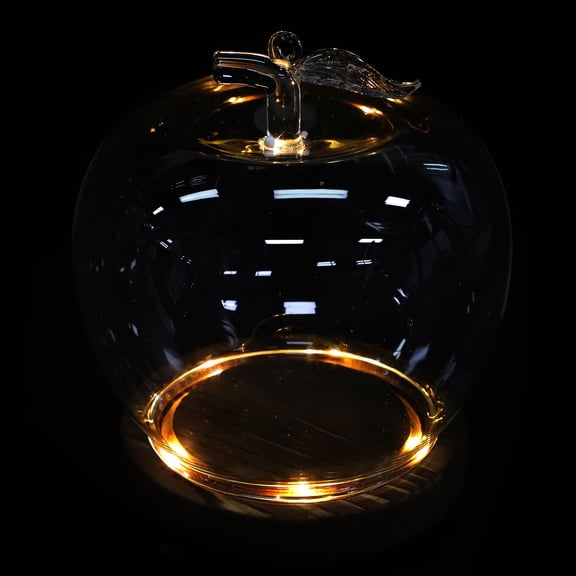 BESTYASH 2Pcs Transparent Glass Dome Cloche Display Case with LED Lighted Base for Decorative Craft Showcases