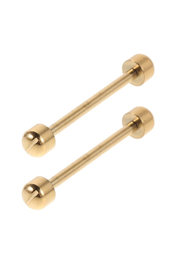 2Pcs Watch Bracelet Screw Pins for Precise Ceramic Band Replacement and Repair