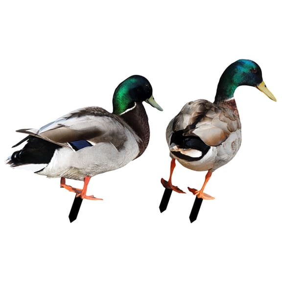 BESTYASH 2Pcs Weather Resistant Acrylic Garden Sculpture Stakes for Yard and Lawn Decoration