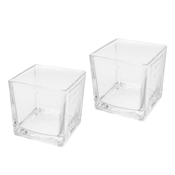 BESTYASH 2pcs Glass Cube Vase for Hydroponic Plants, Square Table Decor
