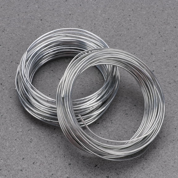 BESTYASH 2pcs Wrapping Wire for Artists Silver Metal Wire for Model Building and DIY Projects