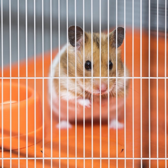 BESTYASH 3Pcs Iron Mesh Pet Cage Divider Panel White for Small Animal Cage Partition and Habitat Separator