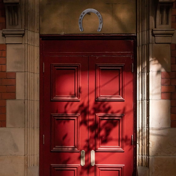 BESTYASH 5Pcs Metal Horseshoe Wall Hanging Craft with Fine Workmanship for Garden Living Room