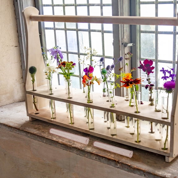 BESTYASH 6Pcs Plastic Hydroponic Flower Test Tubes for Home Propagation and Decorative Display