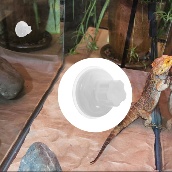 BESTYASH 6Pcs Reusable Birds Window Perch Suction Cups Made of Durable ABS Plastic for Fish Tanks