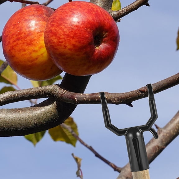 BESTYASH 8Pcs Black Metal Tree Branch Support Stand Stable Fruit Tree Limb Holder