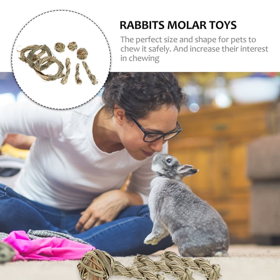 BESTYASH 9Pcs Pets Chewing Toys Twisted Shape Teeth Grinding Doll with Synthetic Material for Rabbit