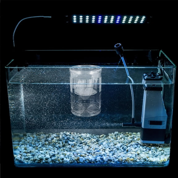 BESTYASH Acrylic Aquarium Divider Fish Breeding Box for Clownfish Guppy and Betta Isolation