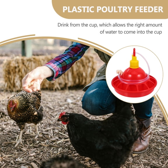 BESTYASH Automatic Poultry Waterer Bowl with Rounded Design for Parrots Doves and Pigeons
