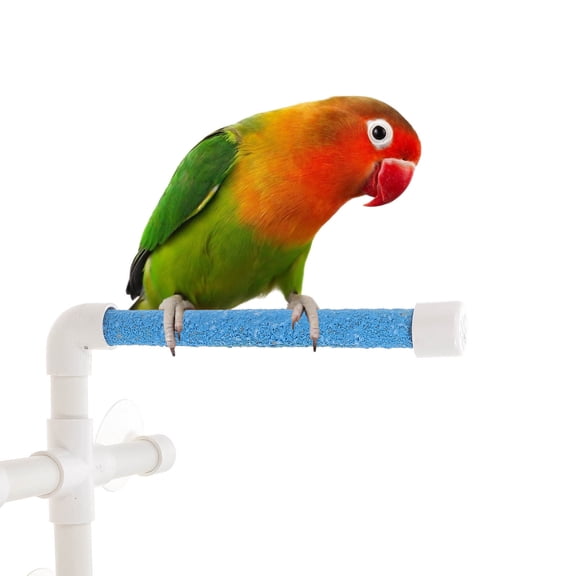 BESTYASH Bird Shower Perch for Parrots White Suction Cup Perch Stand 1Pcs