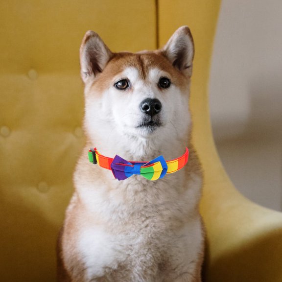 BESTYASH Breathable Assorted Color Pet Collar for Dogs and Cats Perfect for Weddings Celebrations