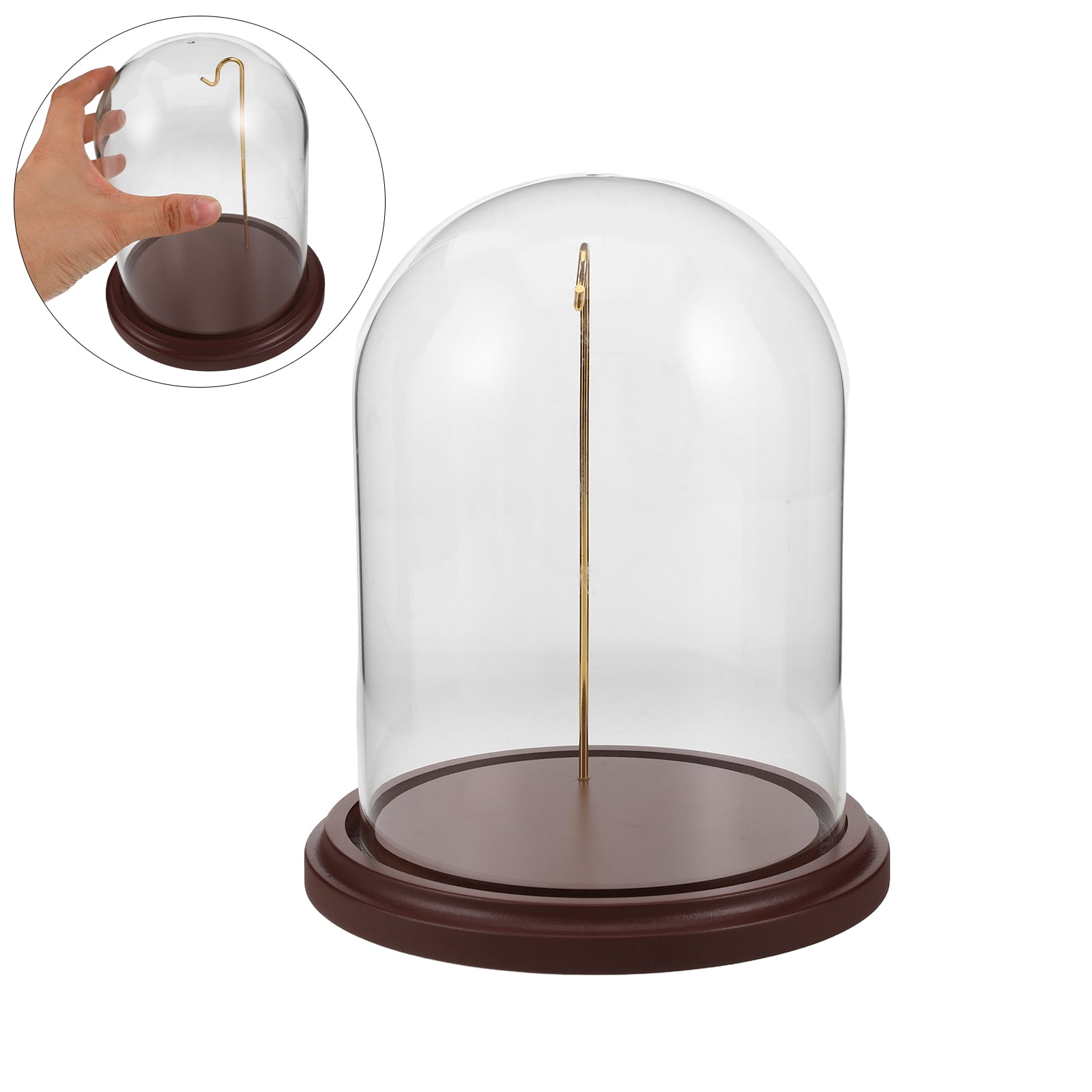 BESTYASH Clear Glass Dome Watch Display Stand with Hanging Hook and ...